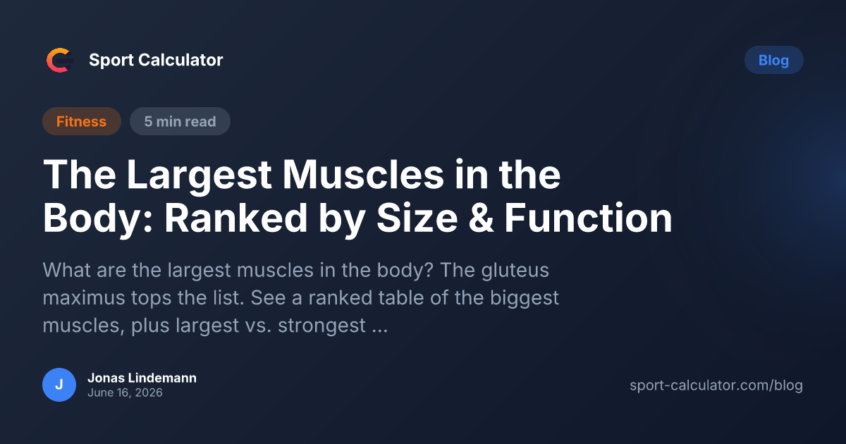 The Largest Muscles in the Body: Ranked by Size & Function